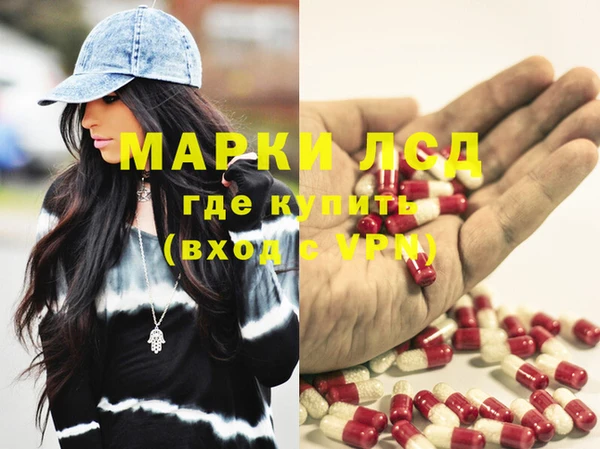 ECSTASY Алзамай