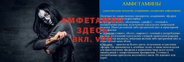 ECSTASY Алзамай