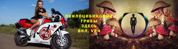 прущий лед Кодинск