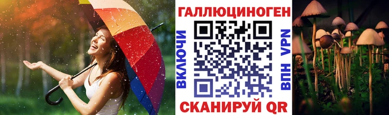 Галлюциногенные грибы MAGIC MUSHROOMS  Шумиха 